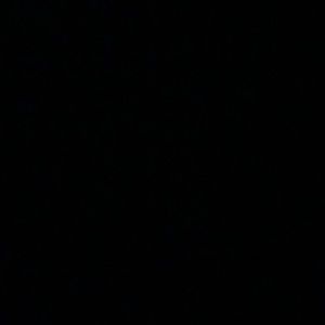 Meet your Posher, Gabriel